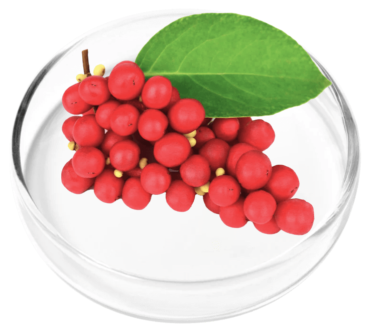 schisandra